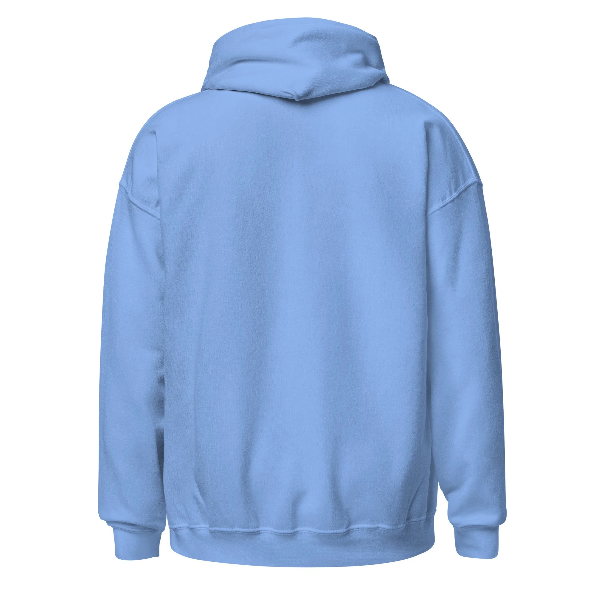 unisex-heavy-blend-hoodie-carolina-blue-back-6a5fa0f748d59.jpg