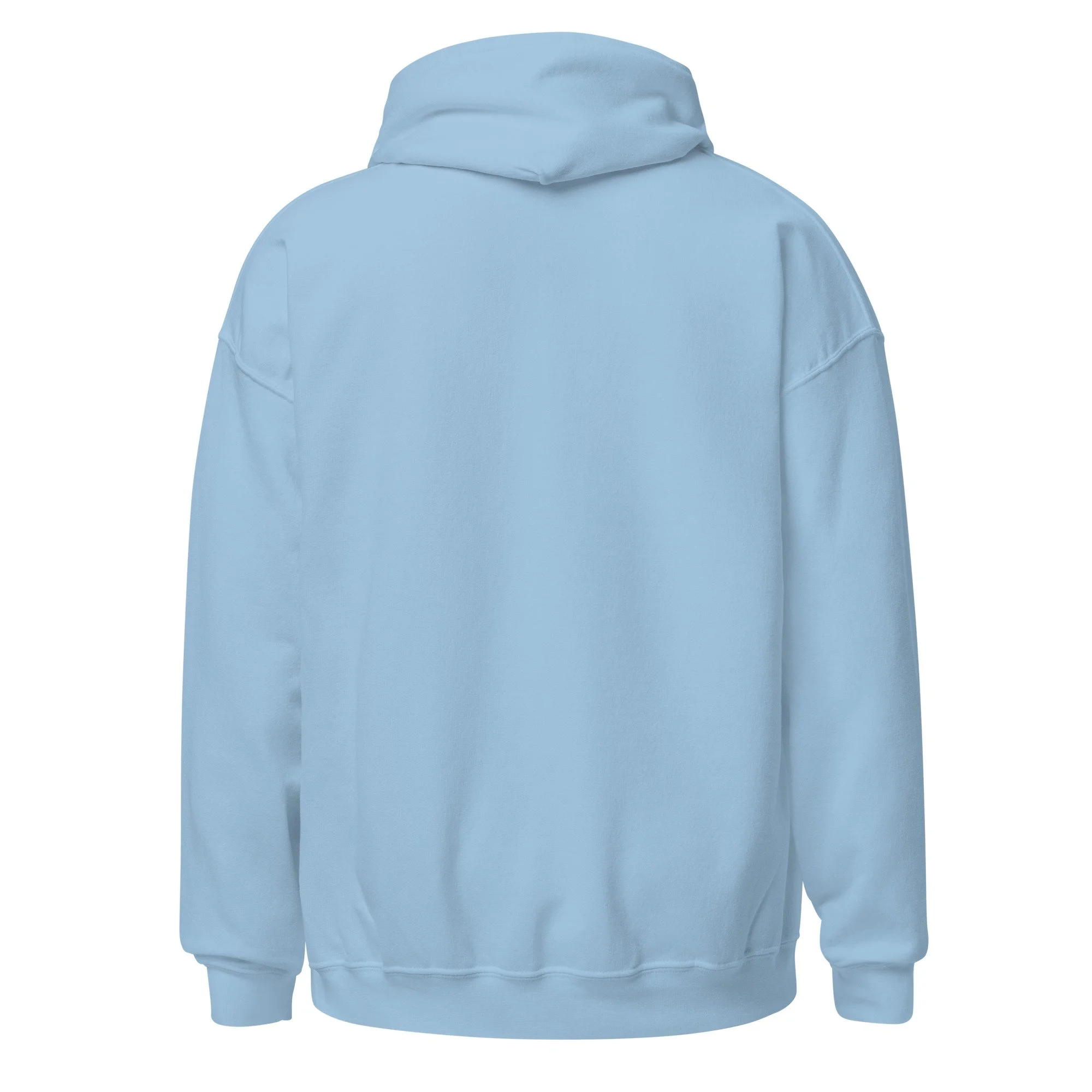 unisex-heavy-blend-hoodie-light-blue-back-6a5fa0f772aaa.jpg