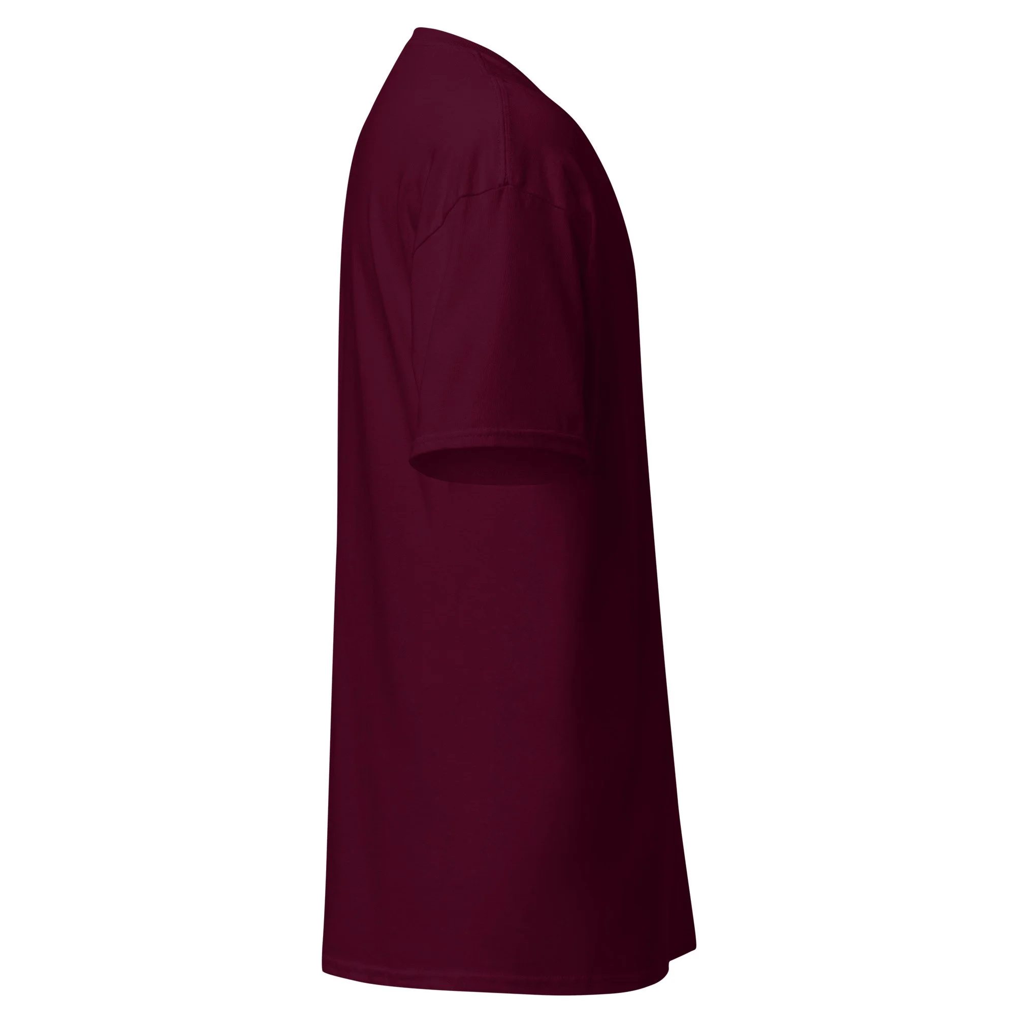 unisex-classic-tee-maroon-right-6a8749bac68a3.jpg