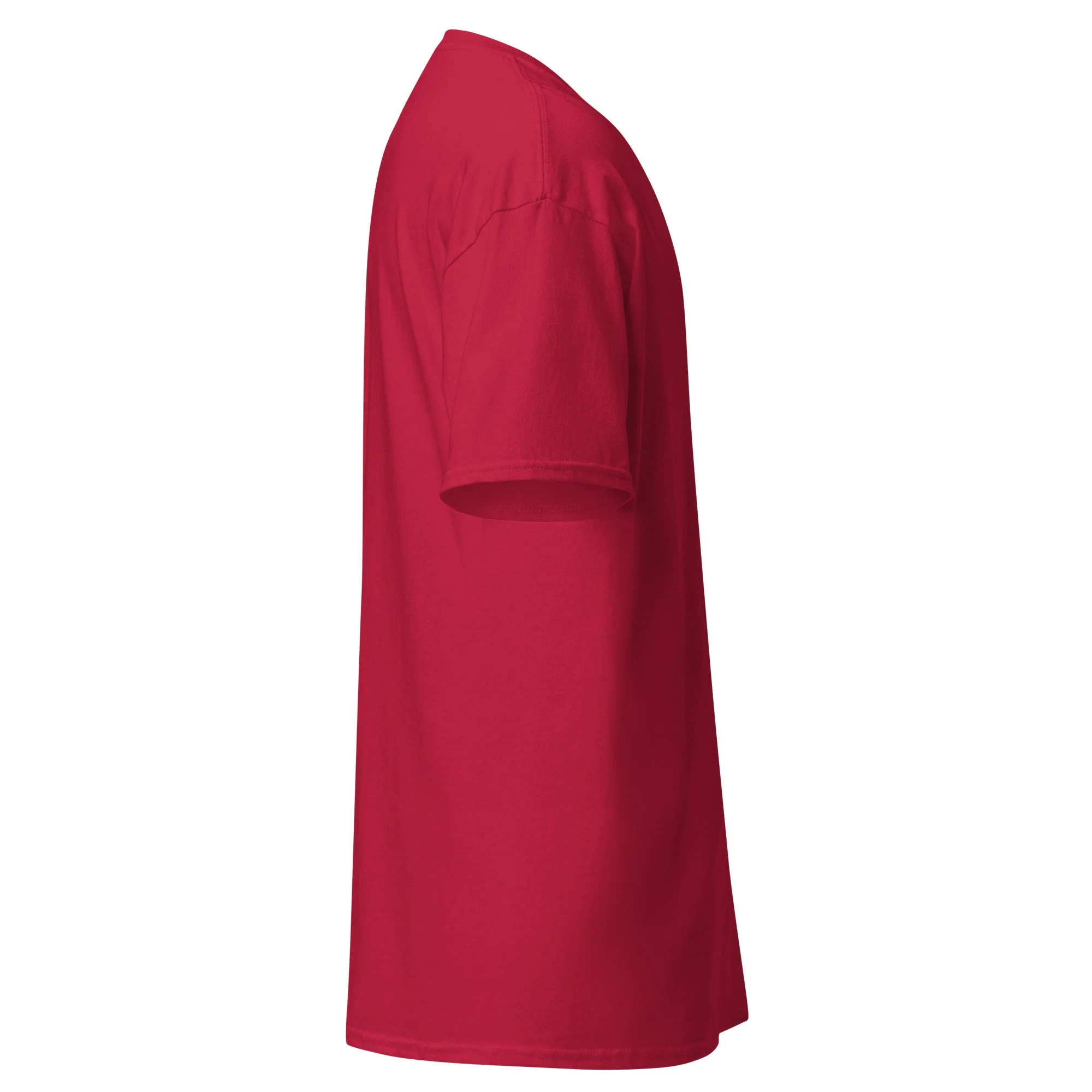 unisex-classic-tee-cardinal-right-6a8749bad498d.jpg