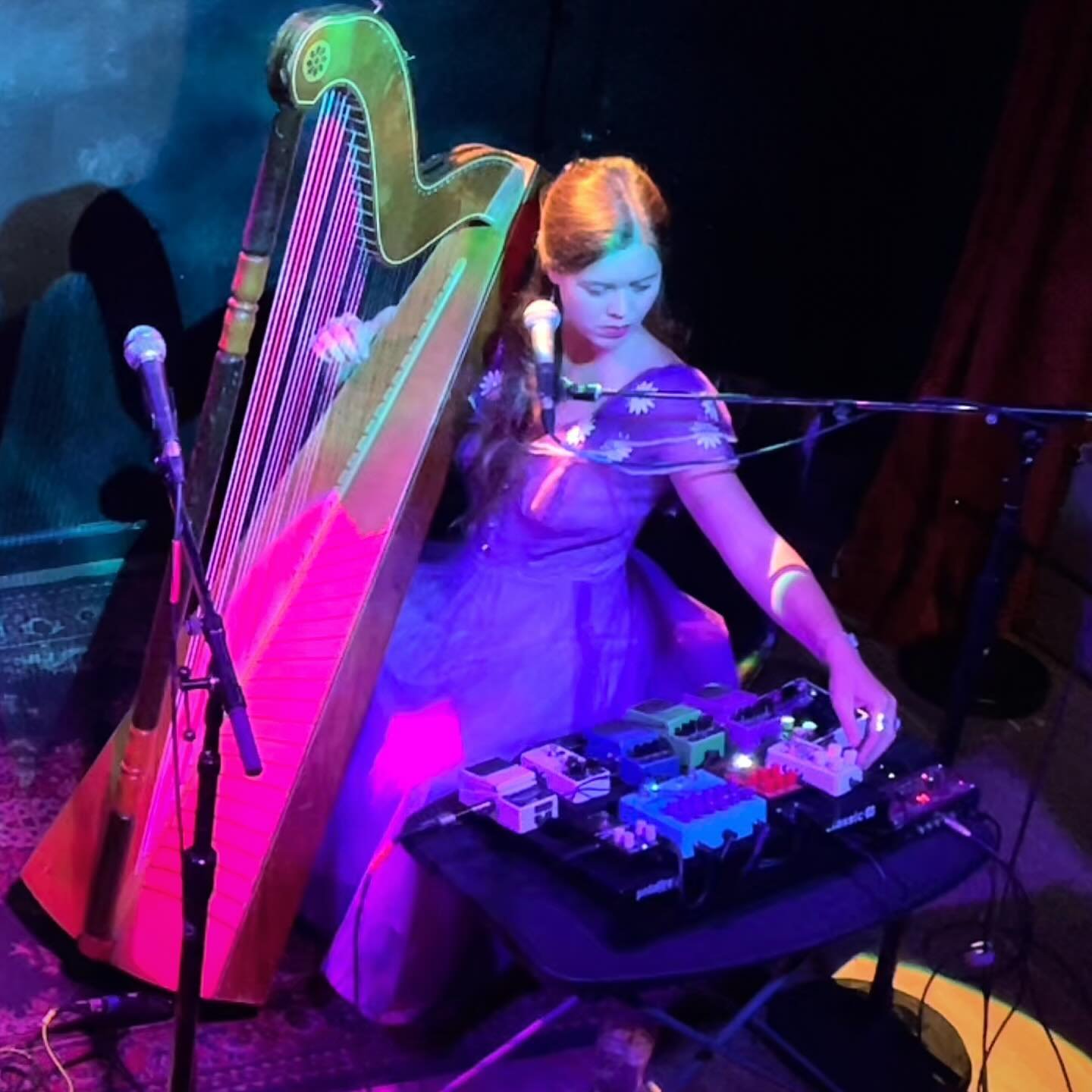 friday 4/19 @beautysupply.arts on harp and arp 2600

#popular #music 

thank you @opticalsoundexperience for putting this together