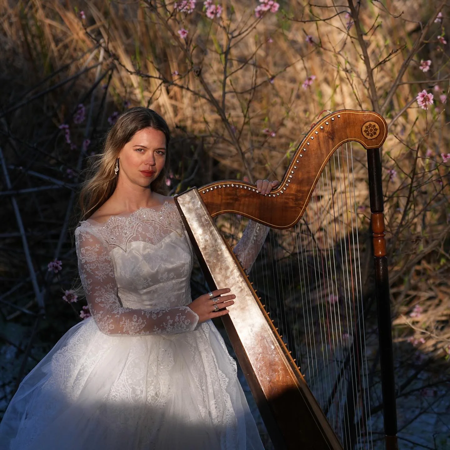 Untitled [Planet Harp] album is done. I'm working with a really great filmmaker to put together a visual for it later this year and am pitching to ambient labels. I welcome suggestions to find this album comprised of harp and synth a home. It's the m