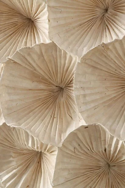 Dried Flower Illuminators.jpeg