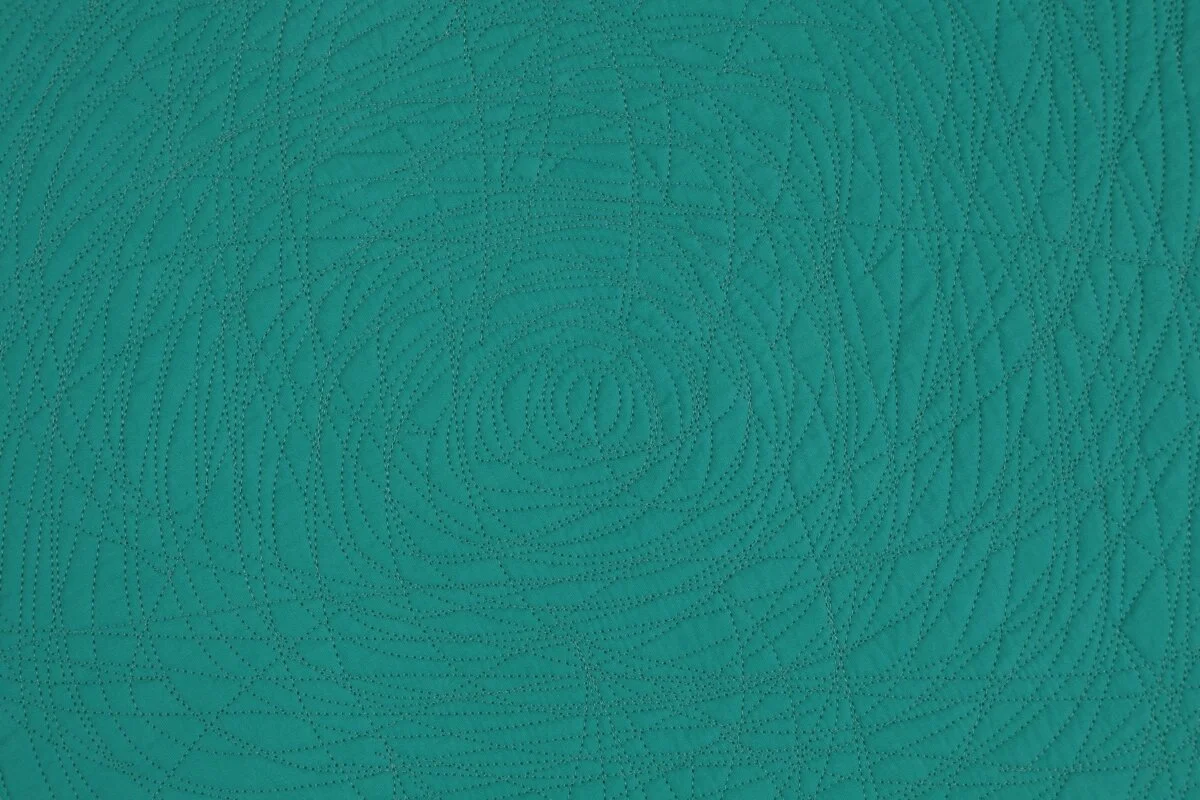 Optimized-Bug Detail 8.JPG