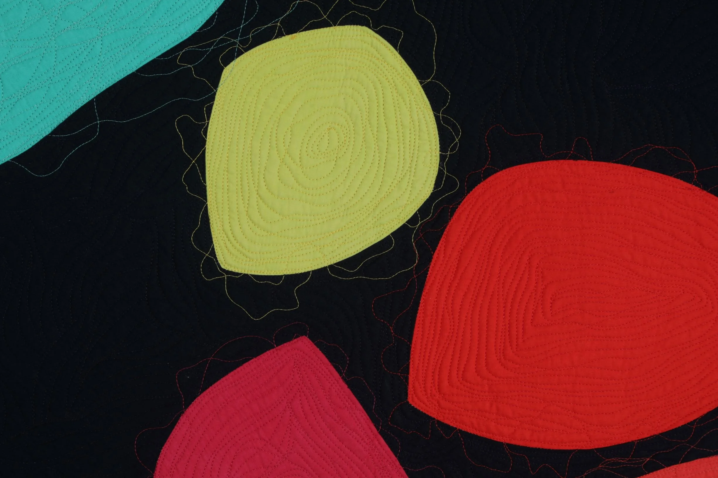 Bug Detail 3_4mp.JPG