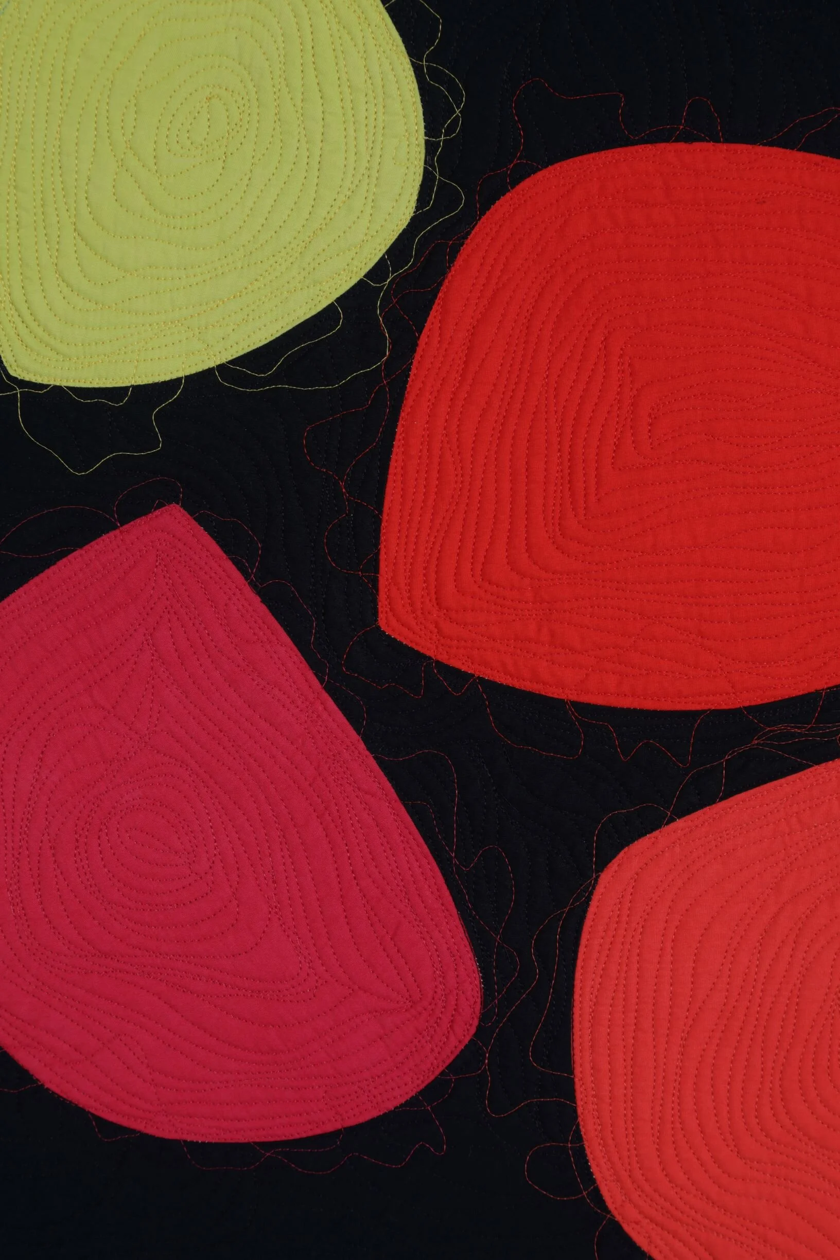 Bug Detail 9_4mp.JPG