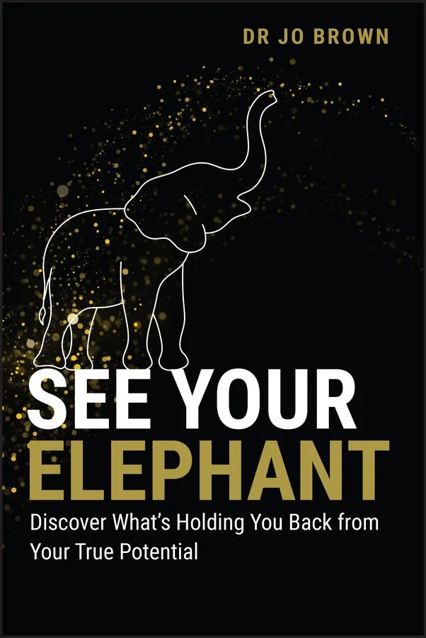 BrownJo_See Your Elephant_cover_BrownJo_See Your Elephant Jordon Lott.jpg