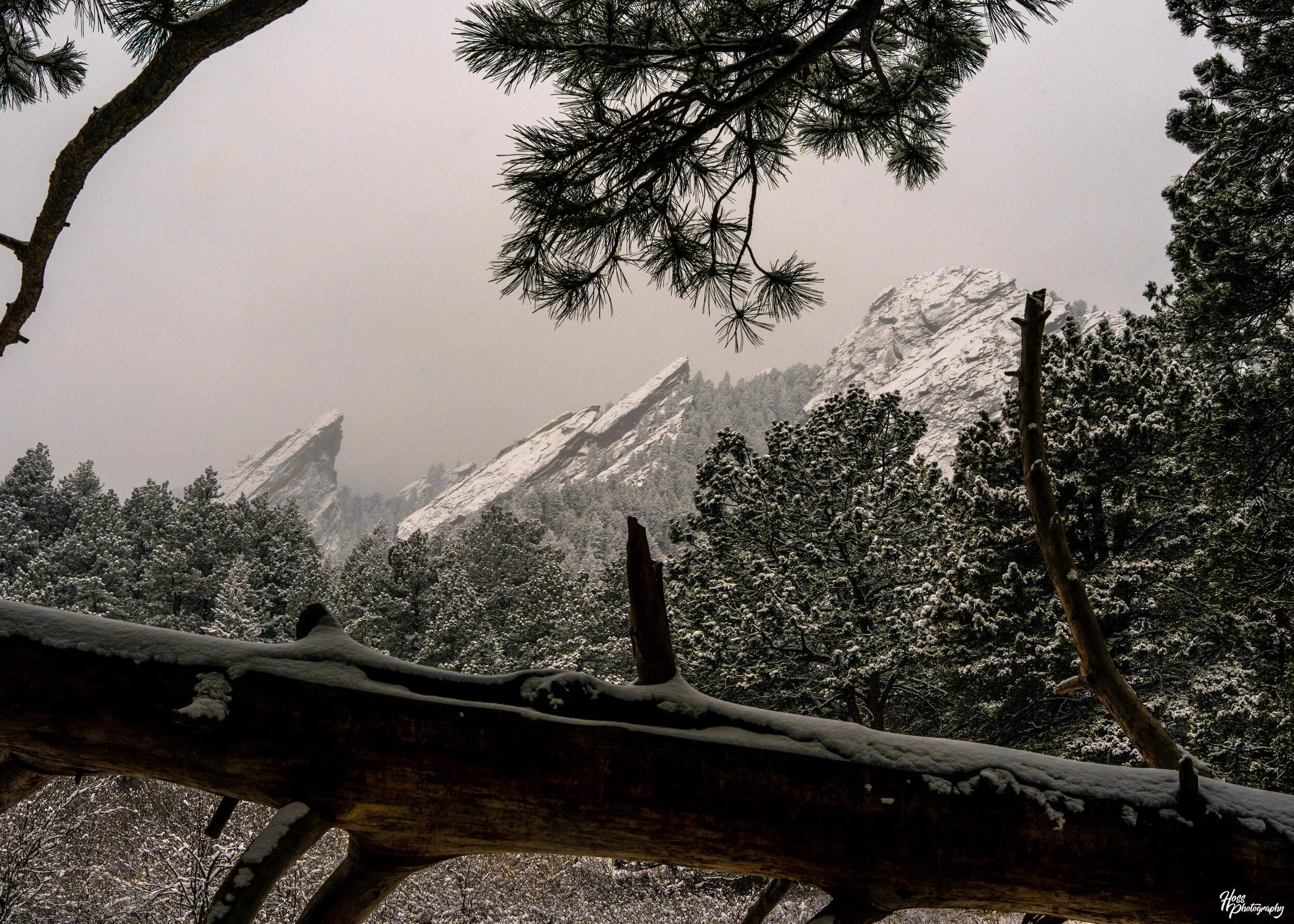 Flat Irons 2021-11.JPG
