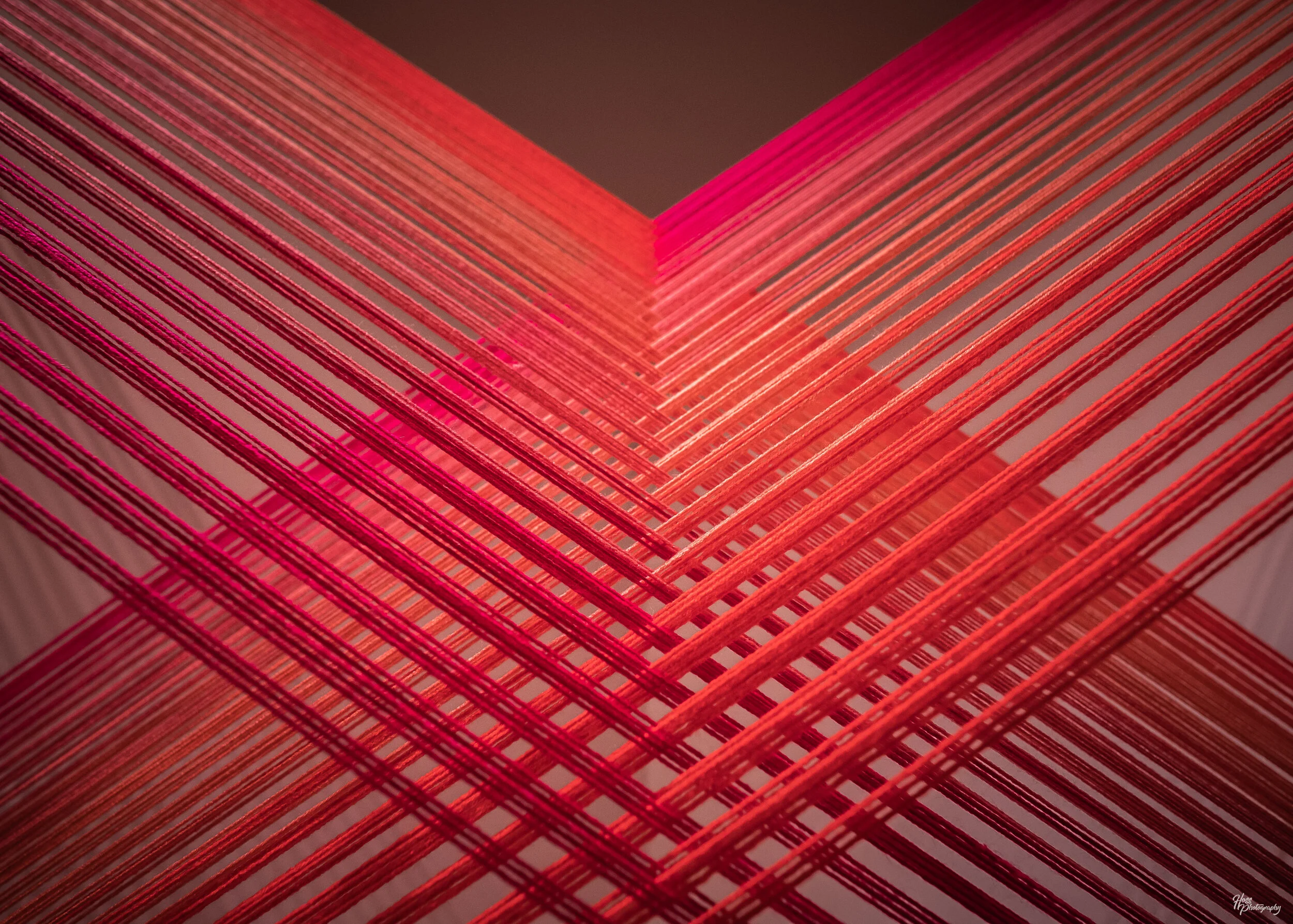 a(symmetric) Sam's Senior Show-19.JPG