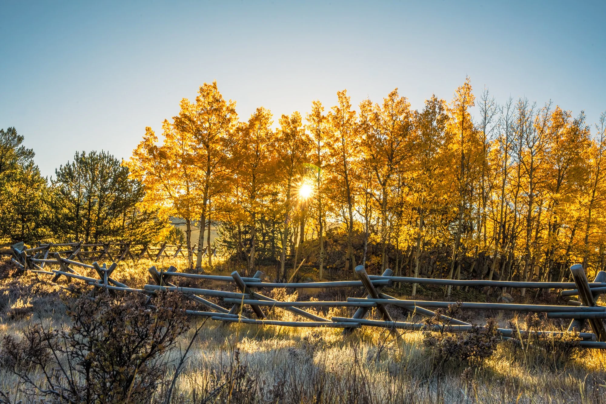Kenosha Pass Fall Foliage (34 of 64).jpg