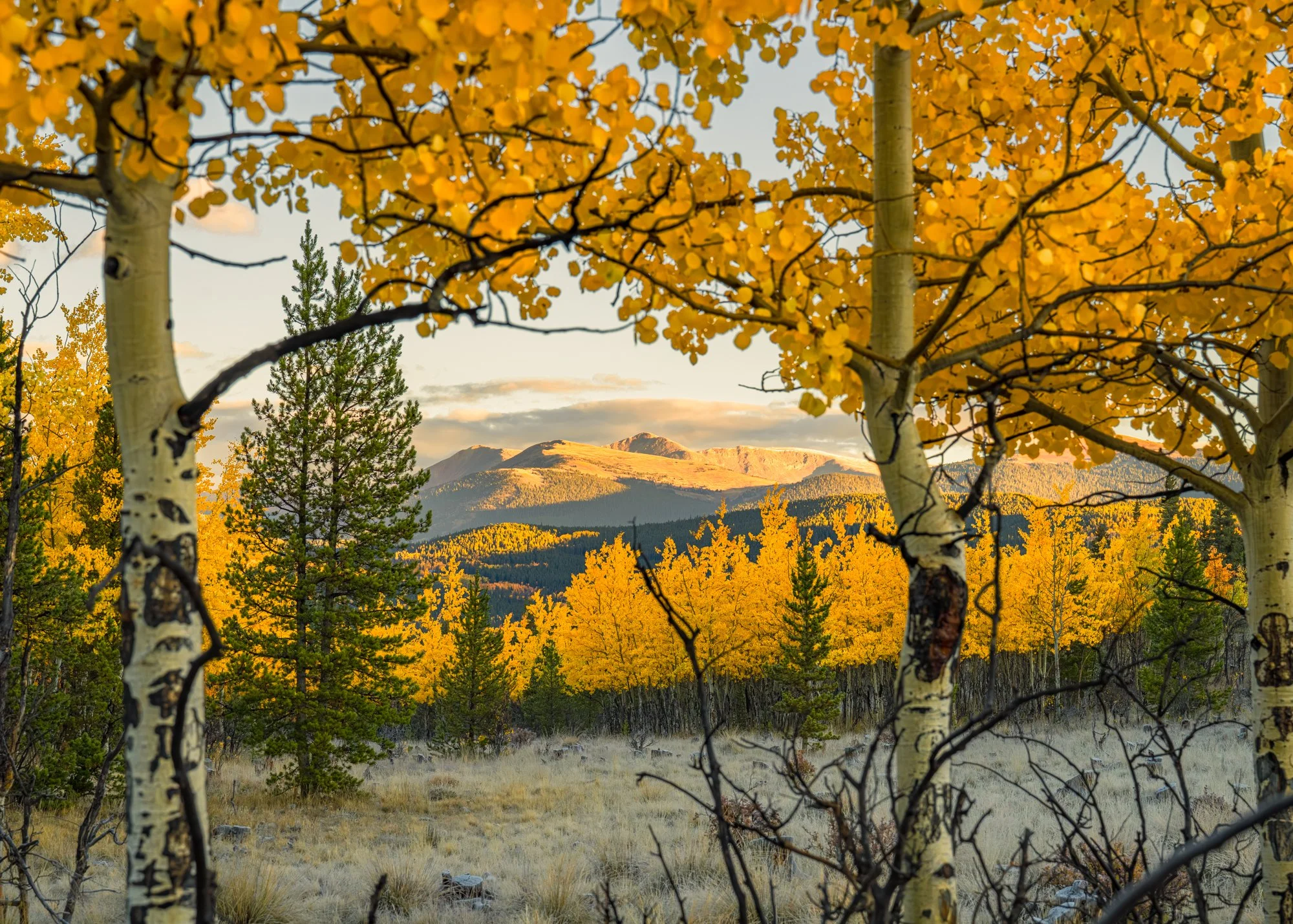Kenosha Pass Fall Foliage (24 of 64).jpg