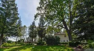 Yoga @ Durst Winery April 29