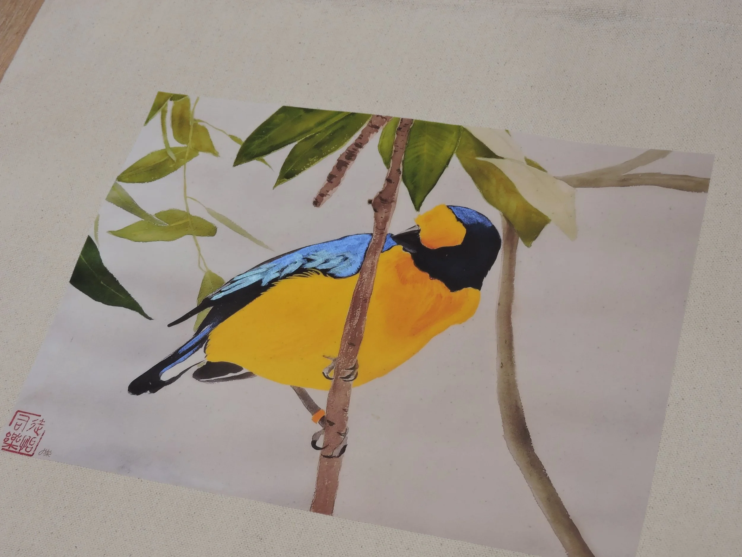 DSCN8551.JPG