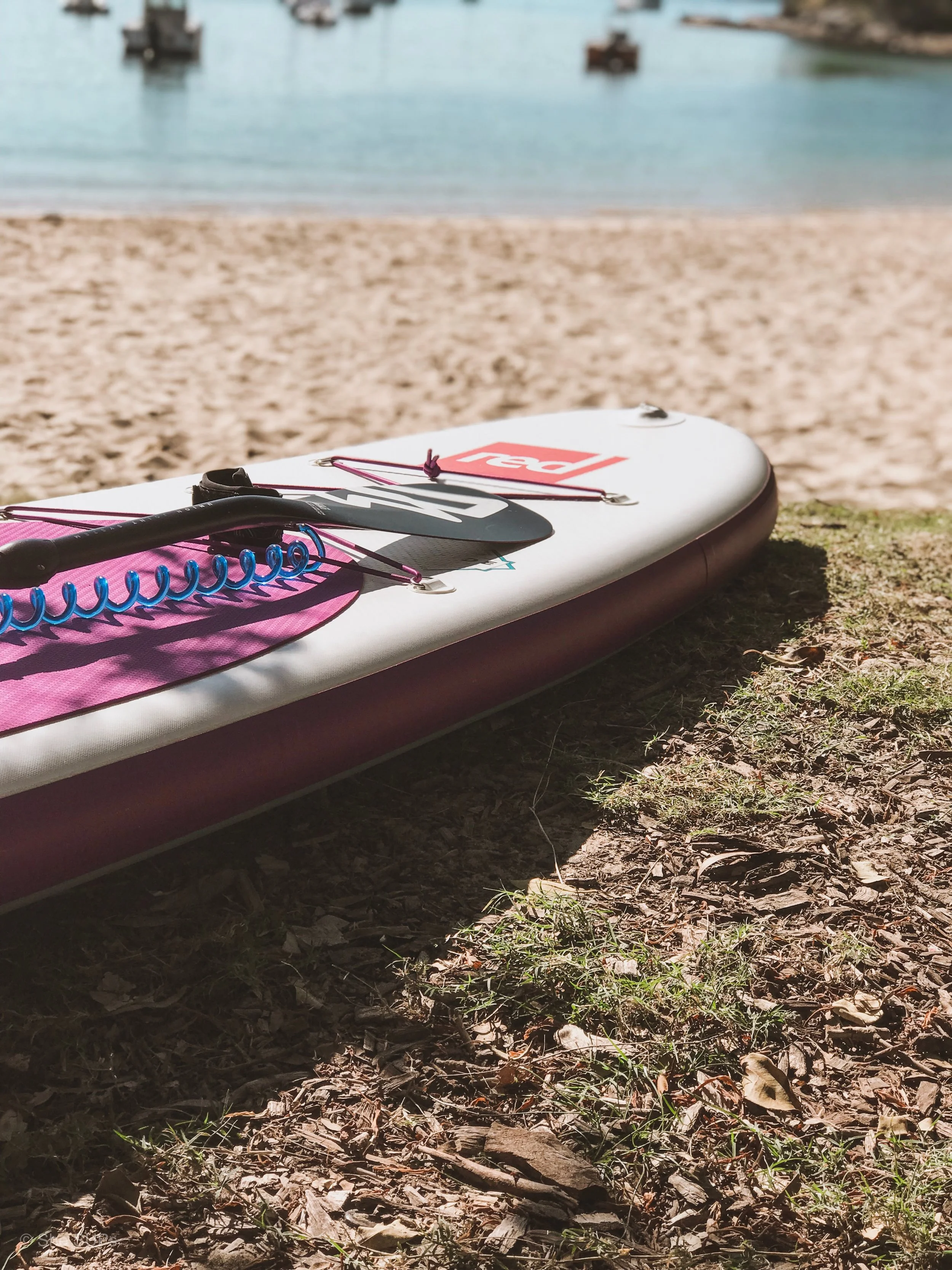 She SUPs Socials are here!