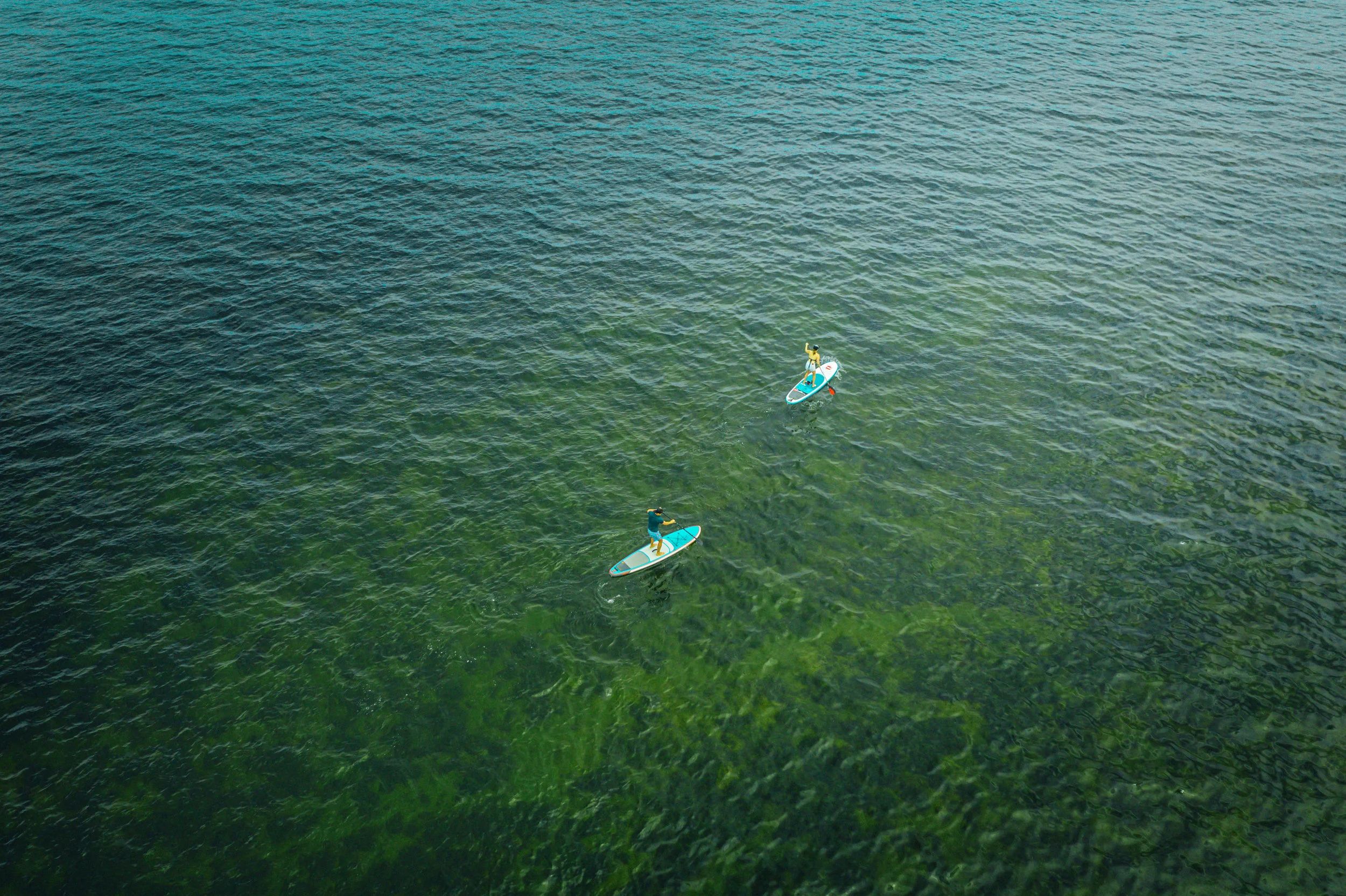 A Girl's Guide To Buying A SUP