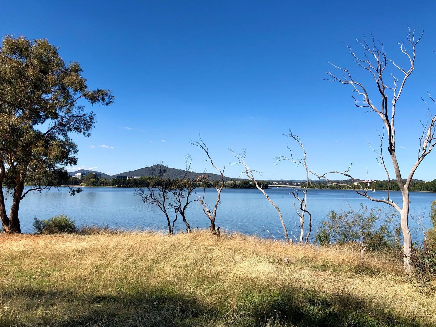 Not what you expected? 🧐
.
When I tell some people that I&rsquo;m off to Canberra to go paddling they respond with, &ldquo;huh? Canberra? Really?&rdquo; 🤷🏼&zwj;♀️
.
And I respond: YES. Absolutely!
.
Canberra is such a paddling gem, with so many be