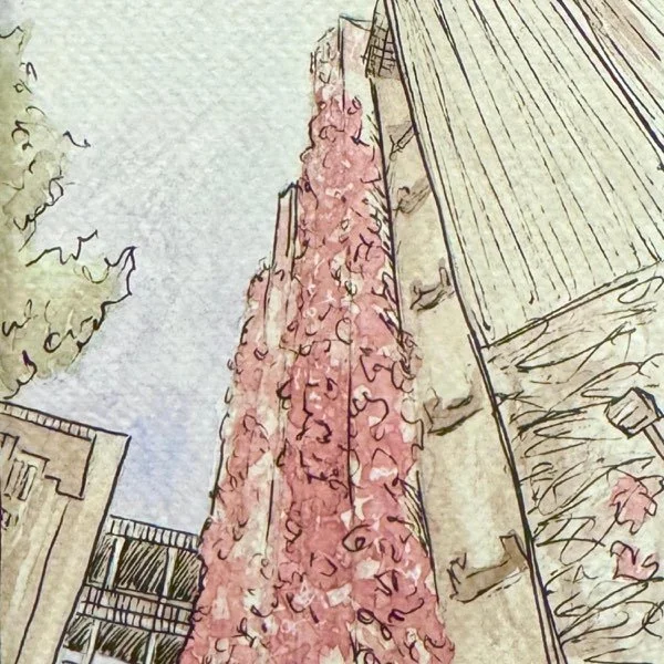 "Kamau" (Justin Moran) Performed by Reflections