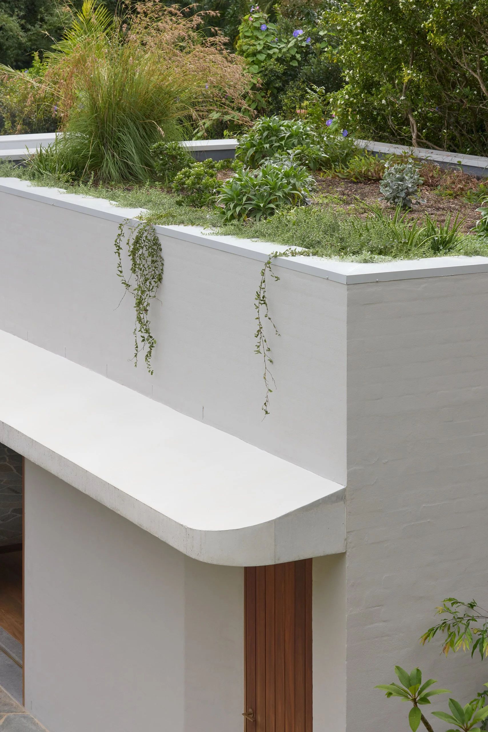 The green roof blends the Poolhouse into the landscape