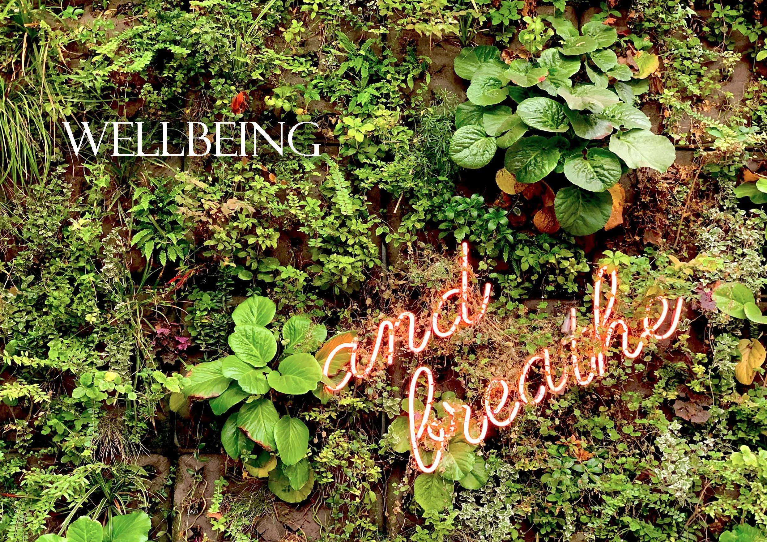 Journal of Biophilic Design Issue 23 Workplace Revisited90.jpg