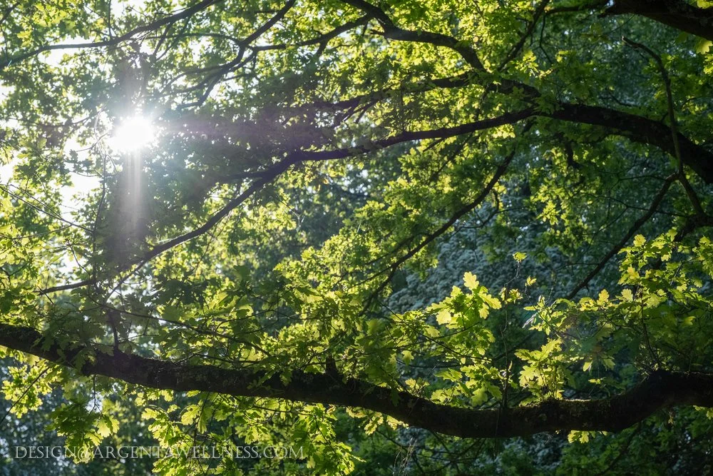 Even mainstream media is saying how nature is good for you