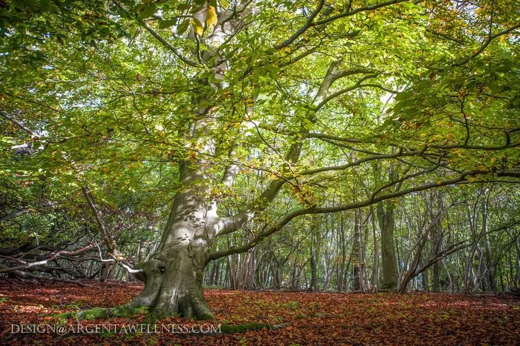 Steel City shows Value of Gentler Side