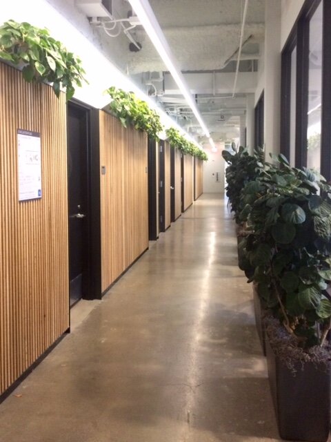 Segment Offices in San Francisco, and was designed and maintained by Ambius award in 201800002.jpg