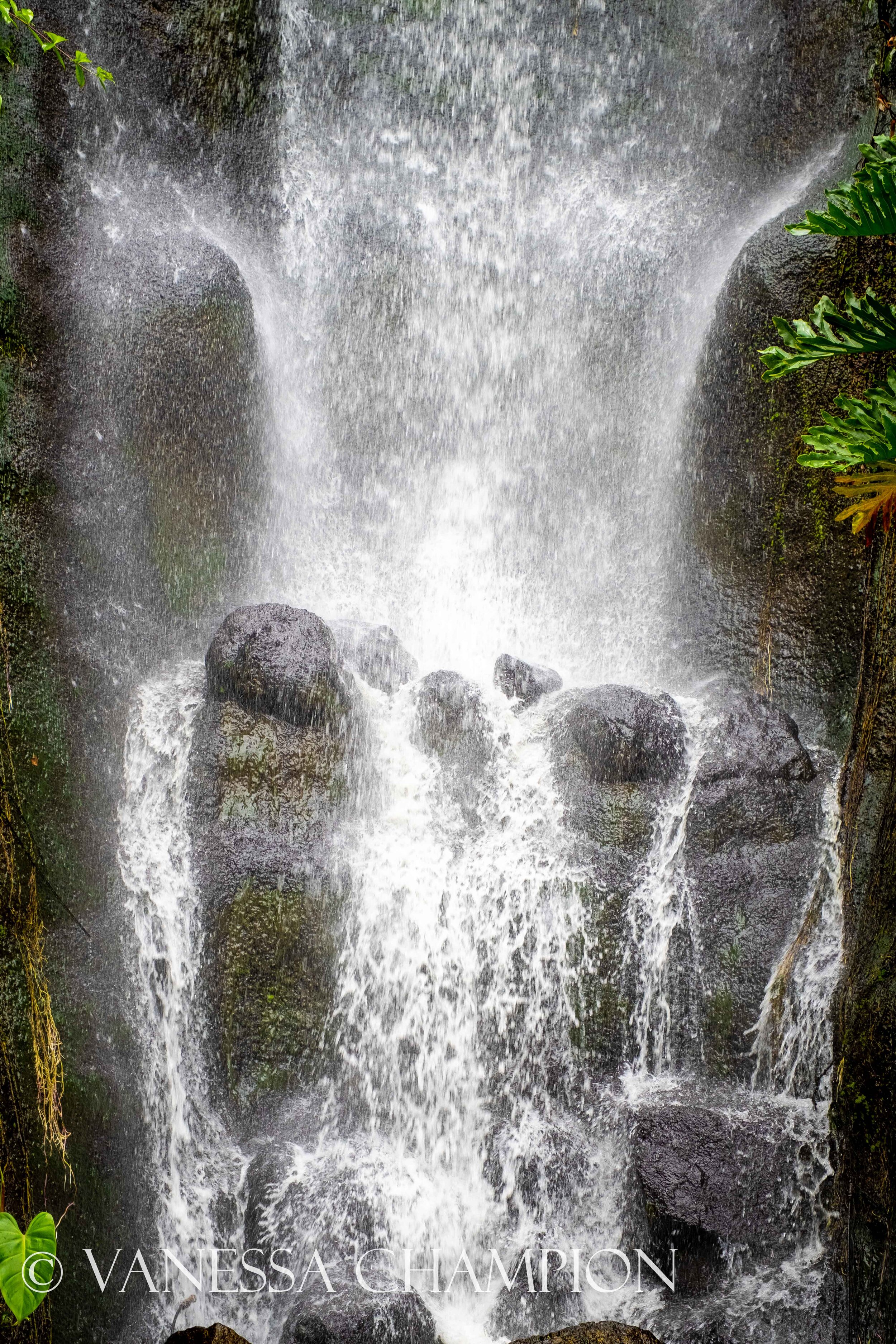 Eden Project Natures Texture photo Vanessa Champion for Argenta Wellness-136.jpg