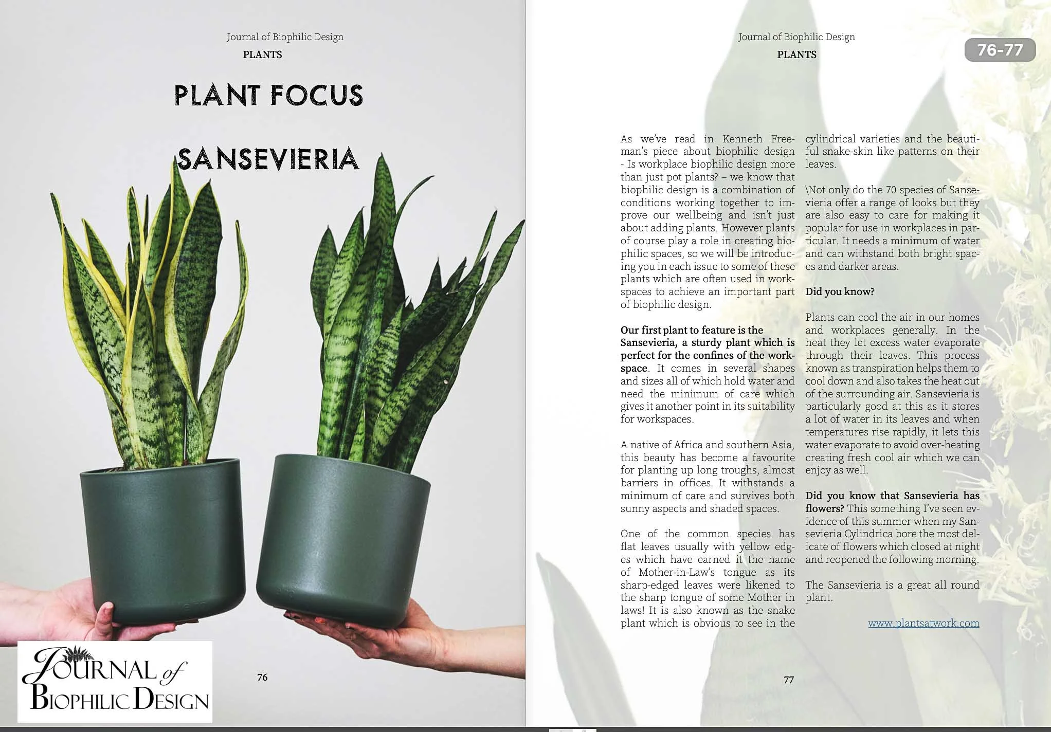 Journal of Biophilic Design Issue 1 sample page-11.jpg