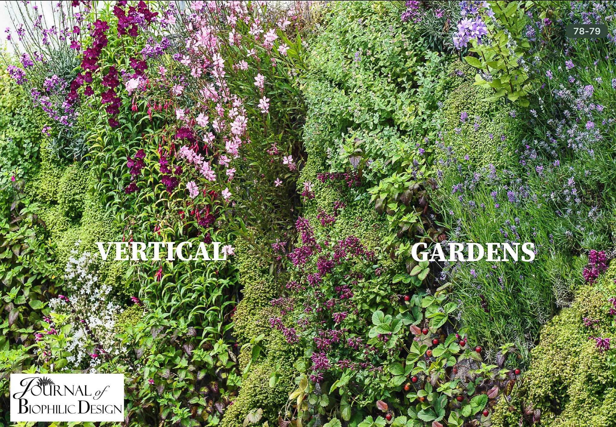 Journal of Biophilic Design Issue 1 sample page-12.jpg