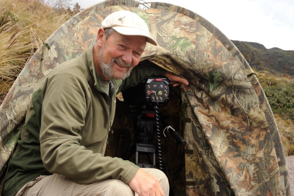 Journal of Biophilic Design