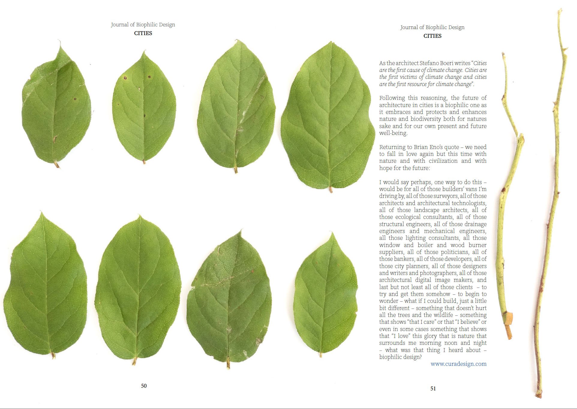 Journal of Biophilic Design Issue 4 Cities-5.jpg