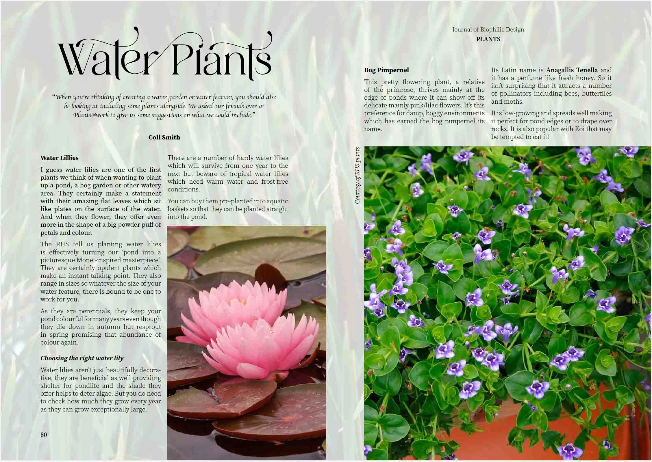 Journal of Biophilic Design Blue Mind_-11.jpg