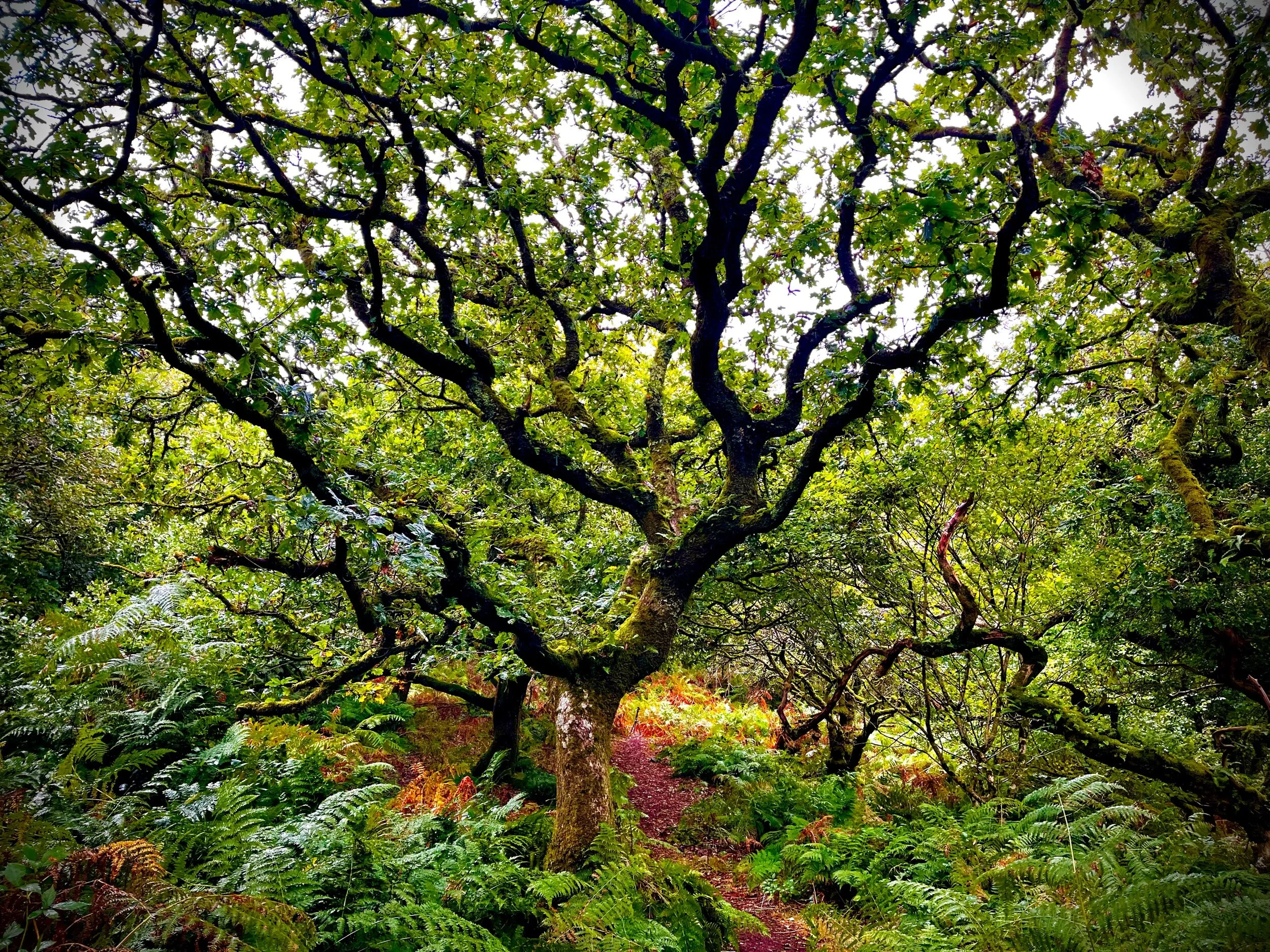 23D56A51-896C-4B70-8CEB-9F83D01EB276