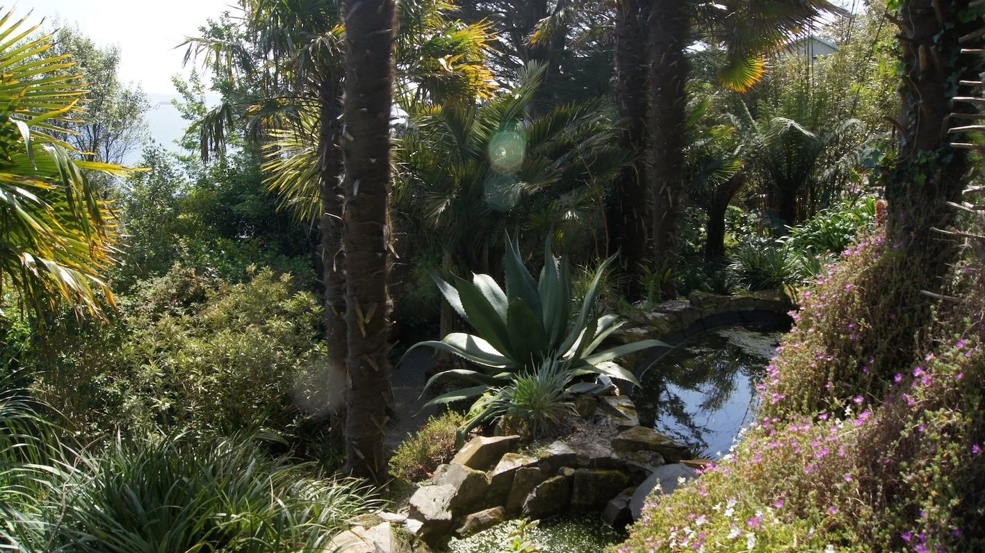 Robert Delius Searching for Eden1.JPG