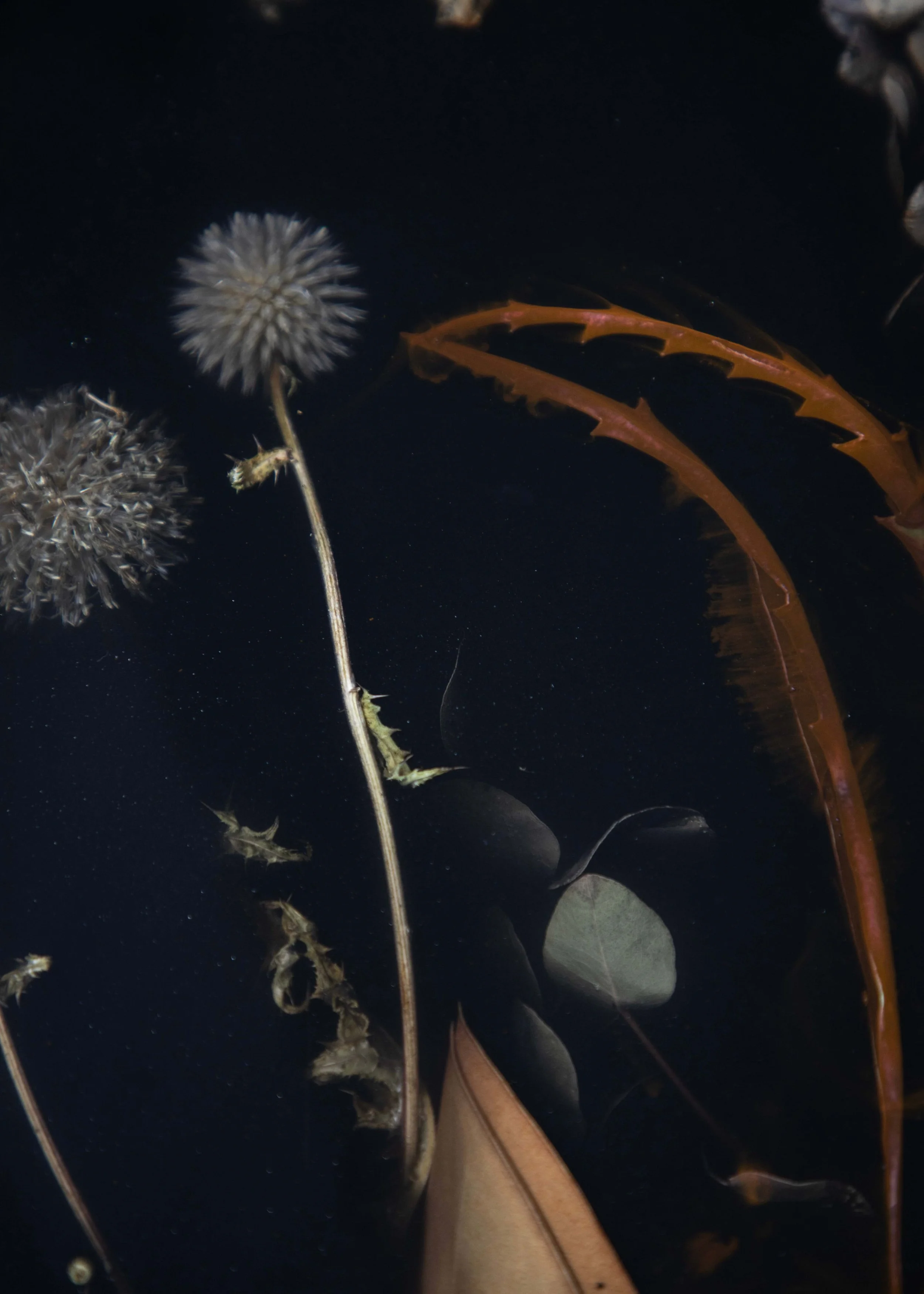 Metamorphosis.CraftFromPoland Marcin_Rusak_Studio_FL-22-27_007.jpg