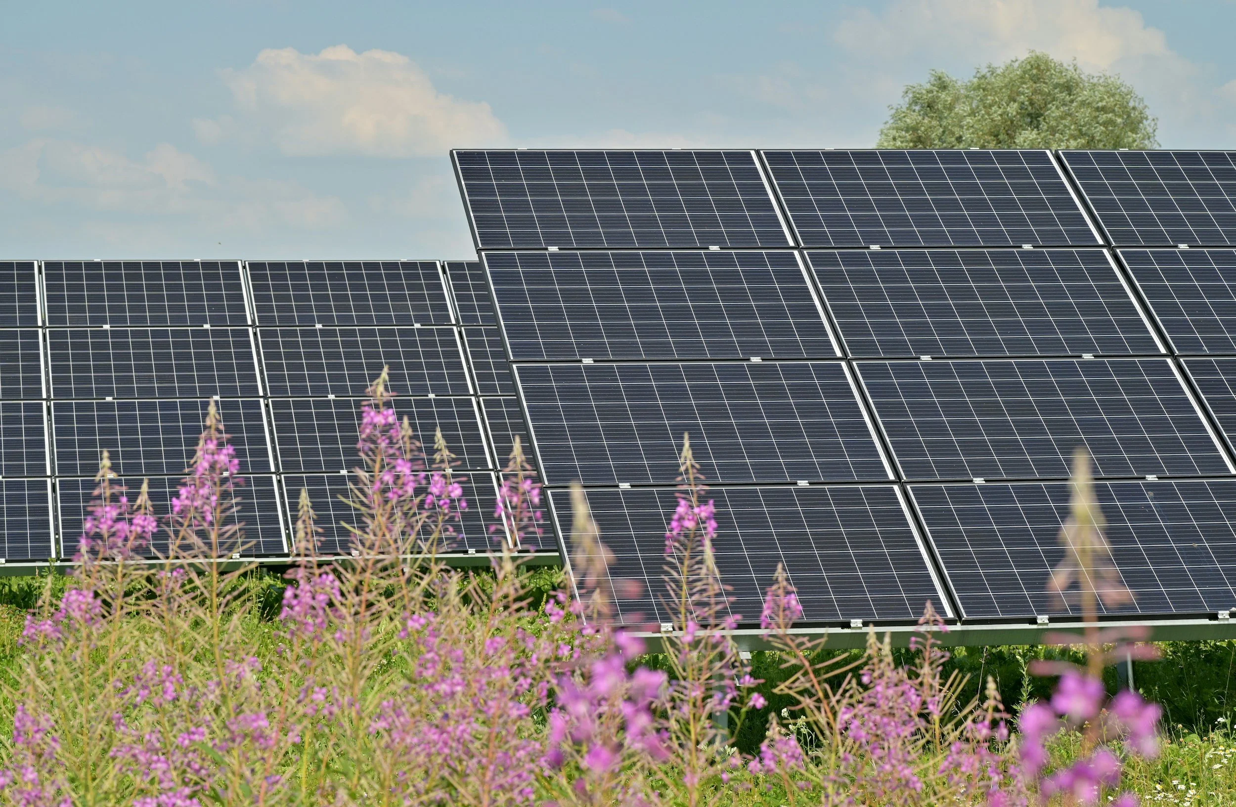 Biophilic Design - the Missing Link in Delivering the Future Homes and Buildings Standards