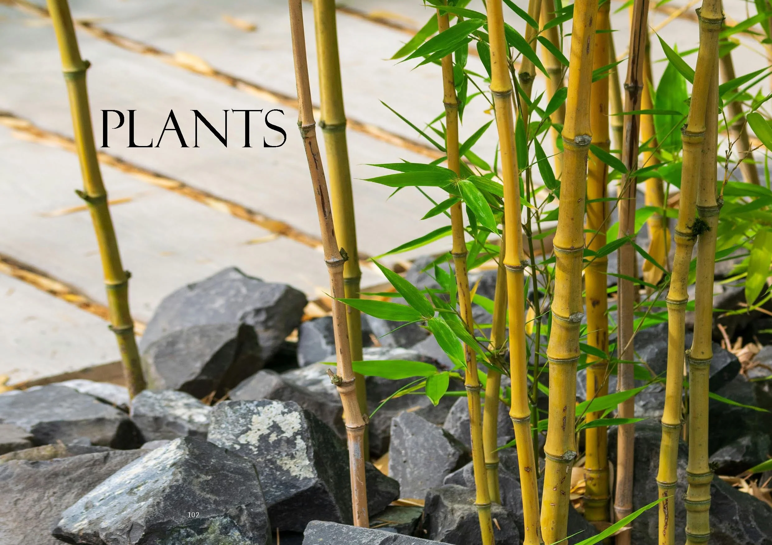 JBD Issue 19 A4 v1 Digital jpgs_Page_053.jpg