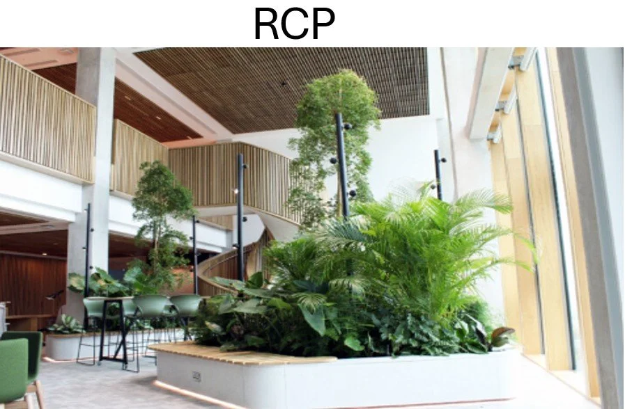 Why we need nature inside our buildings - The Future of Healthy ...