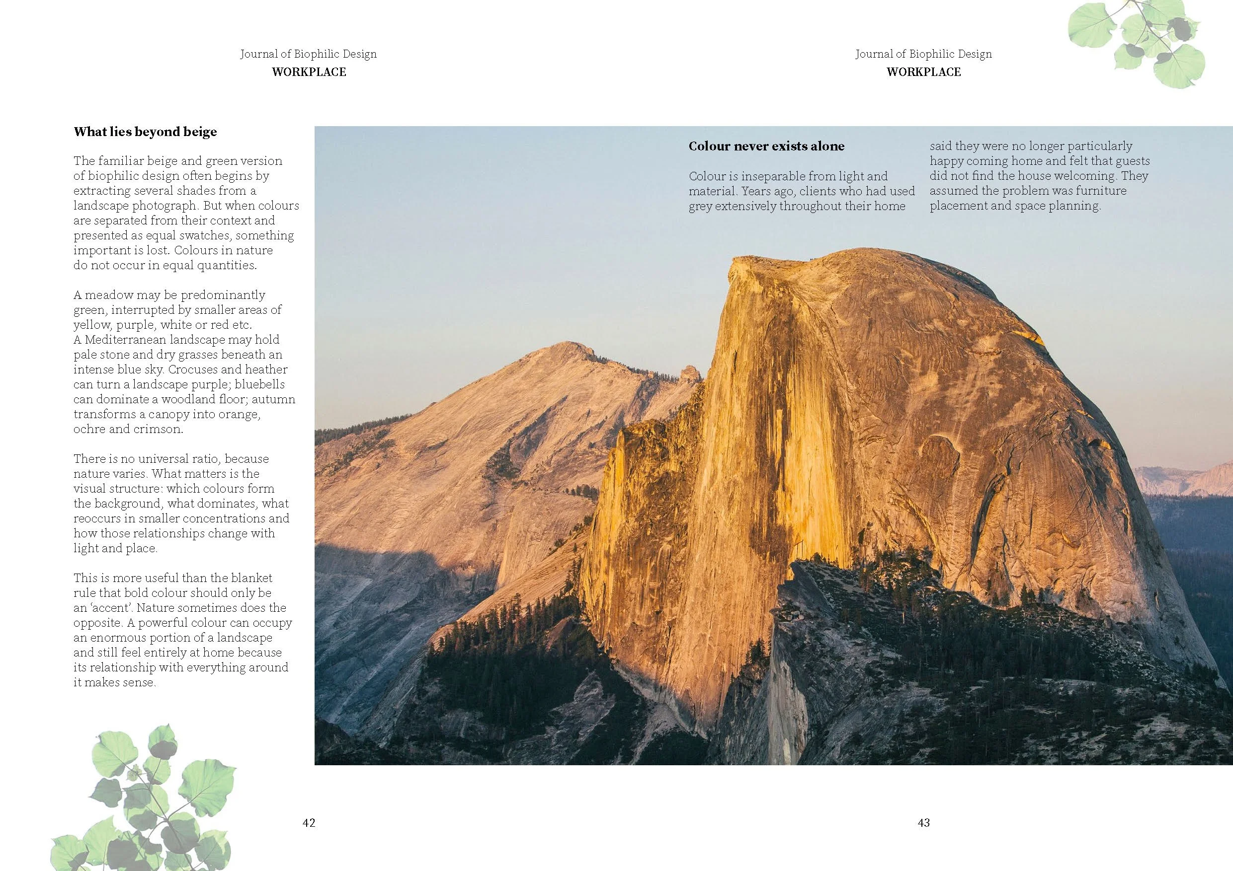 Journal of Biophilic Design Issue 23 Workplace Revisited31.jpg