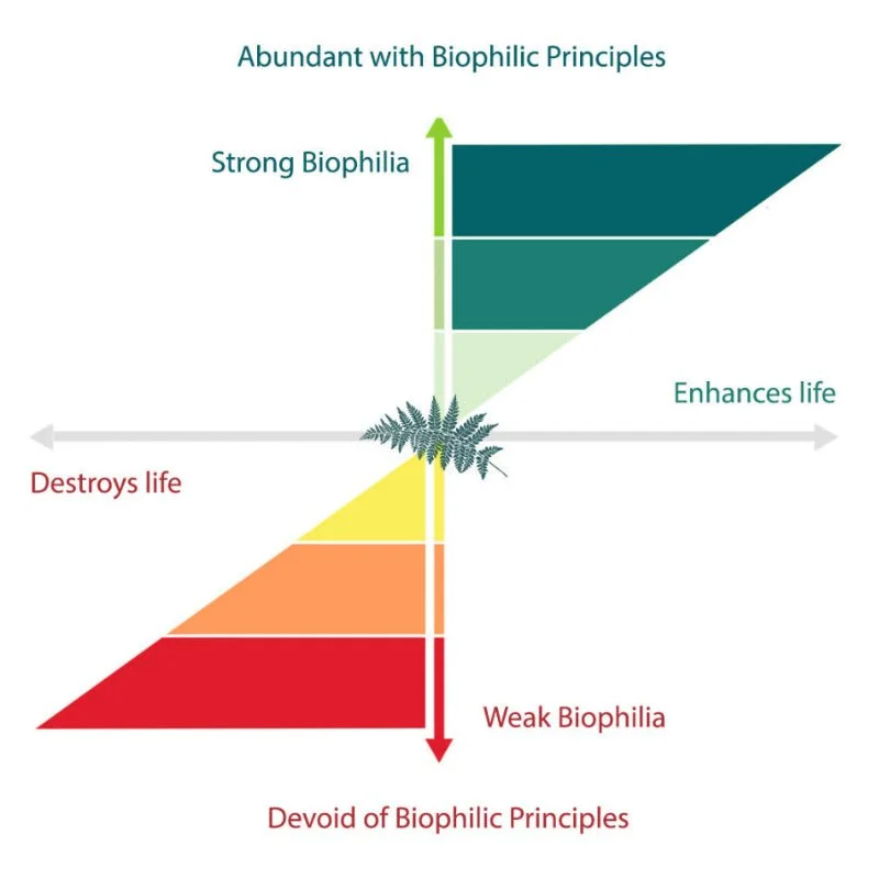 Biophilic_Design_Sourcing_Hub_Rating_system_graph_002.jpg