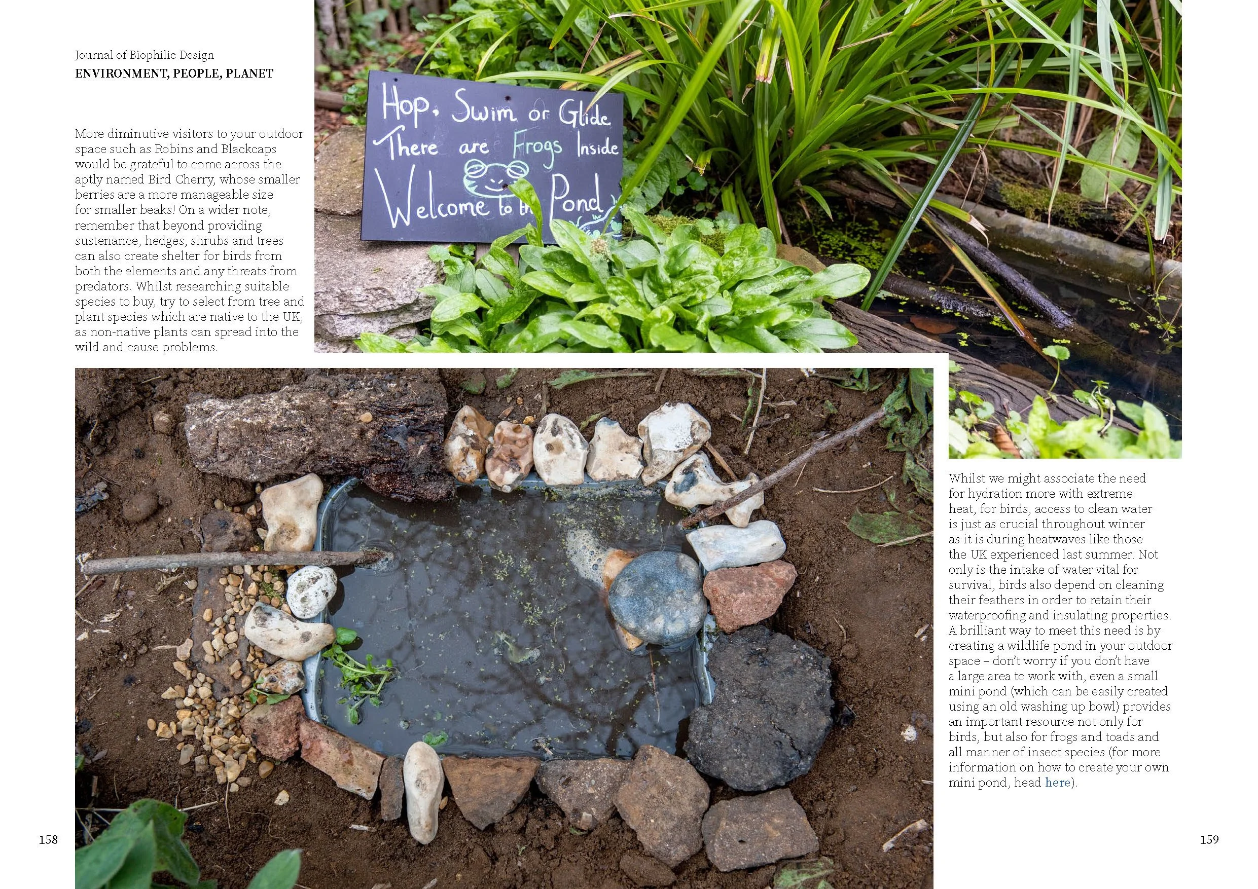 JBD Issue 19 A4 v1 Digital jpgs_Page_081.jpg