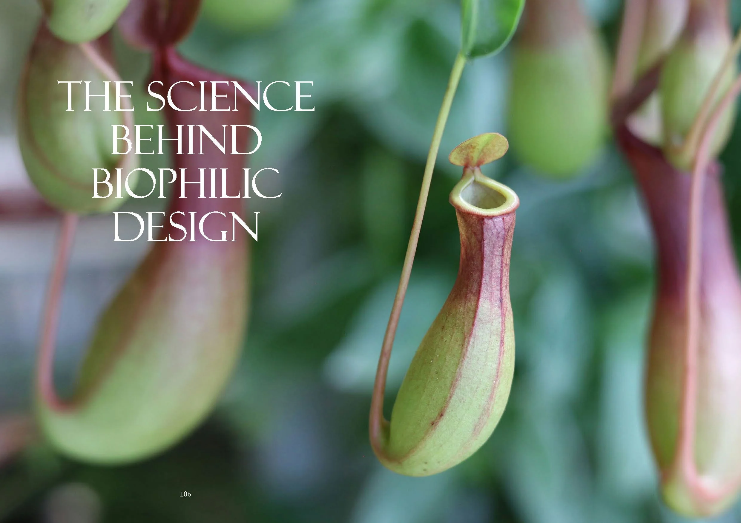 JBD Issue 20 A4 v3 Digital_Page_055.jpg