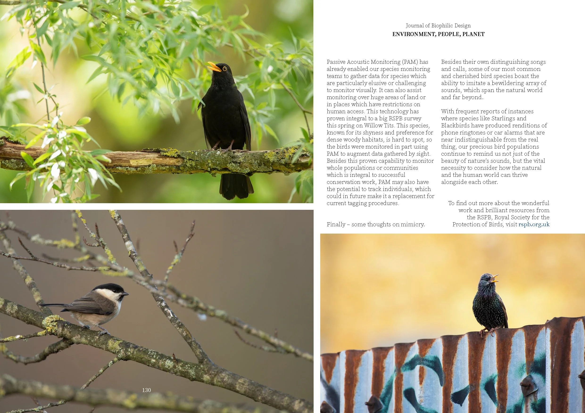 JBD Issue 16 A4 v3 Digital_Page_67.jpg