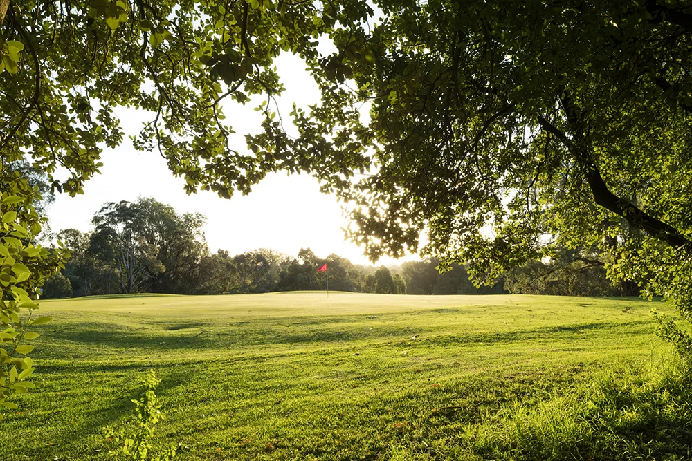 Northcote golf course.jpg