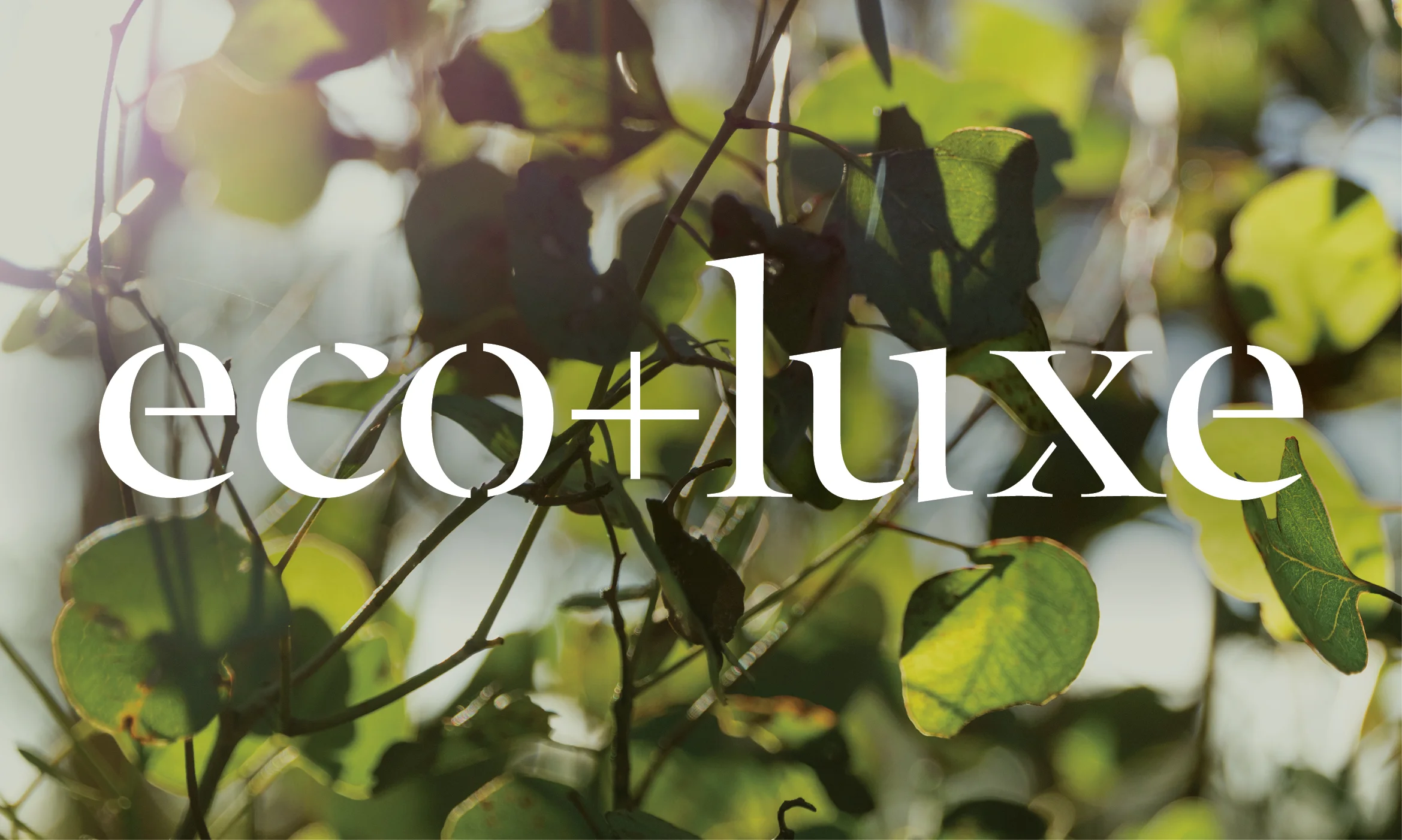 merri green eco luxe.jpg