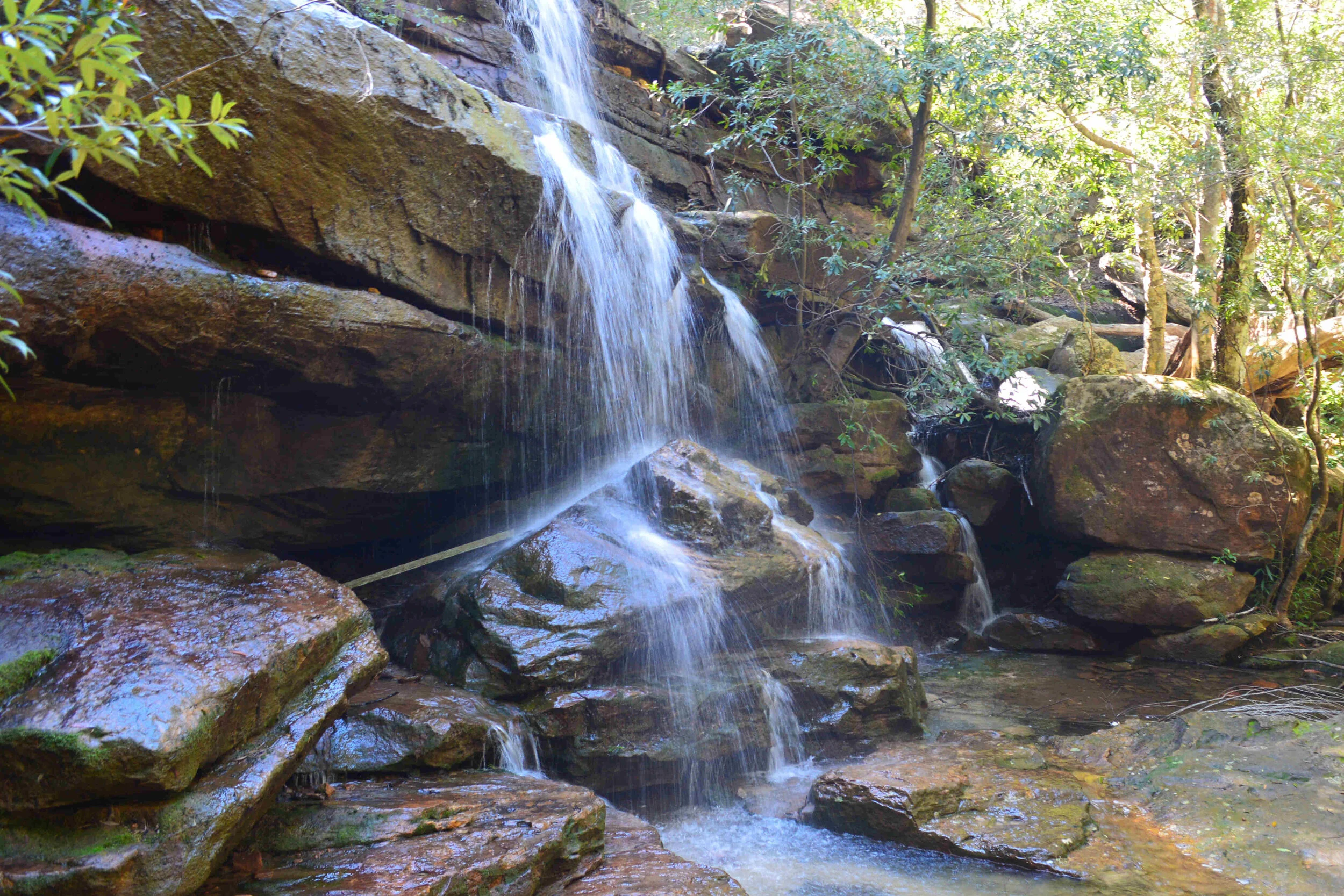 Hidden Pools Trail Three