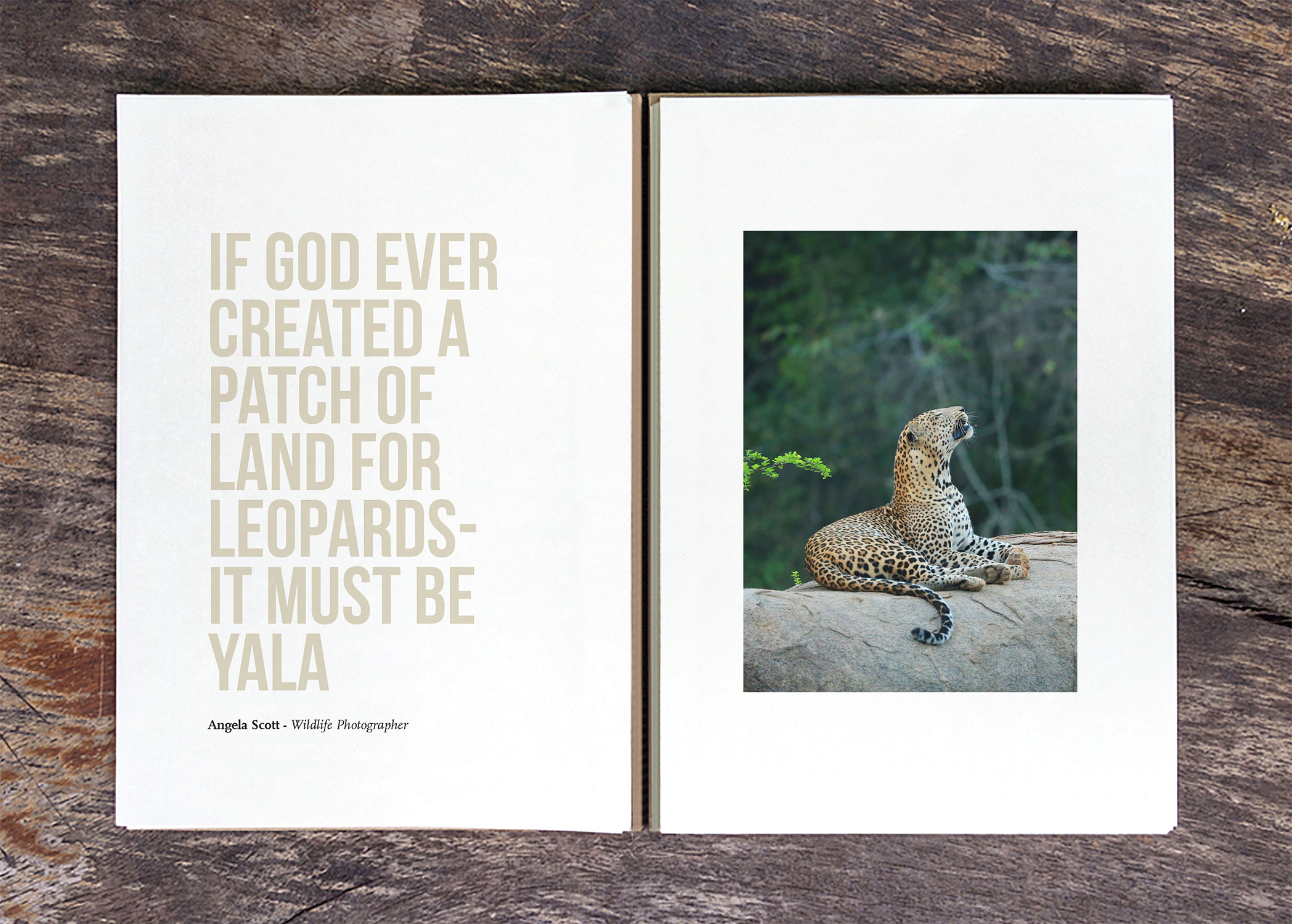 PROJECT-LEOPARD-BOOK-(A5)-2.jpg