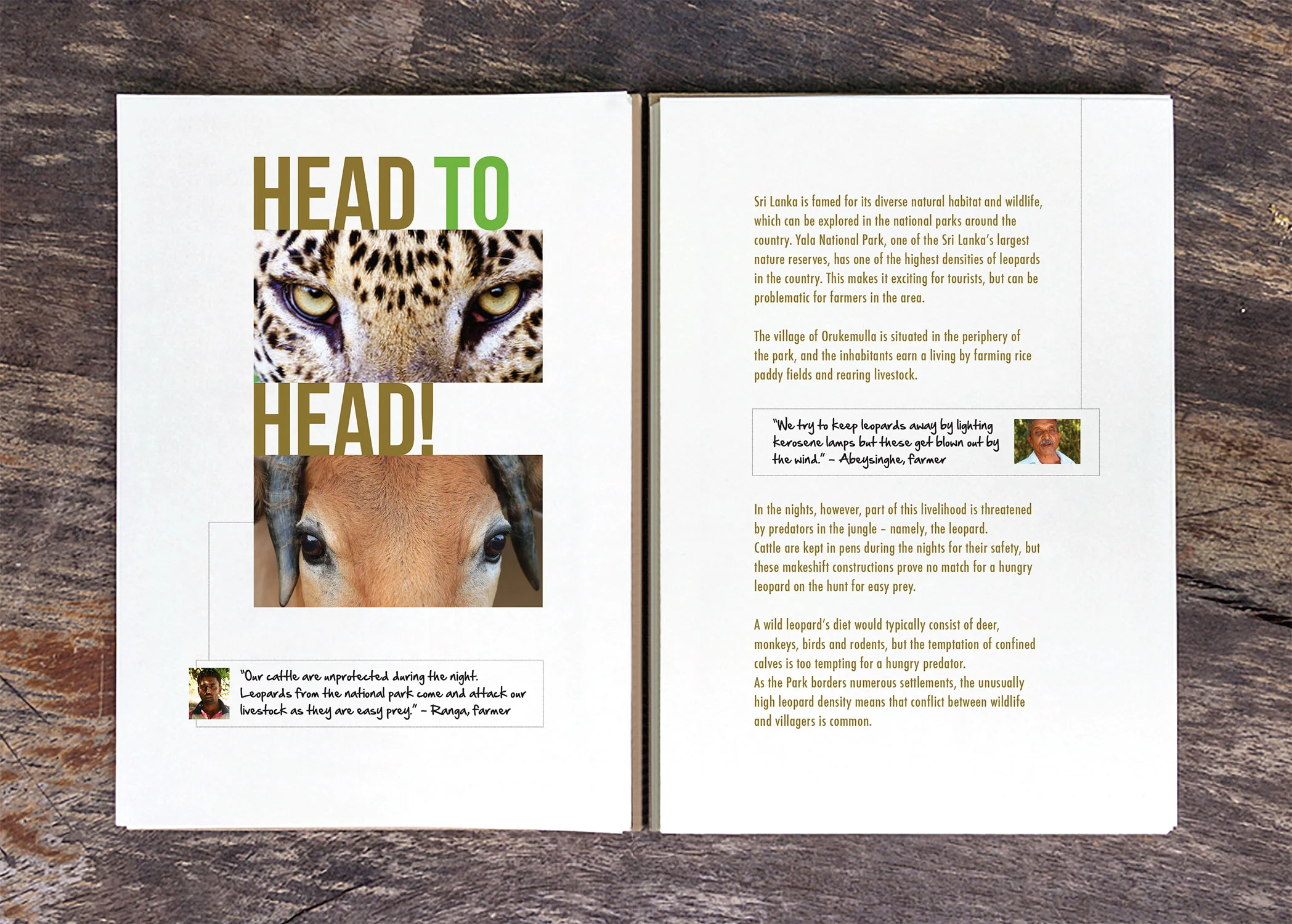 PROJECT-LEOPARD-BOOK-(A5)-3.jpg