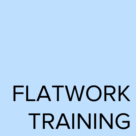 Flatwork Training with Karen Court