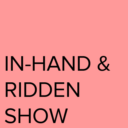 Spring In-Hand and Ridden Show  